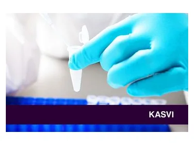 Microtubo 0,2 mL para PCR — Kasvi