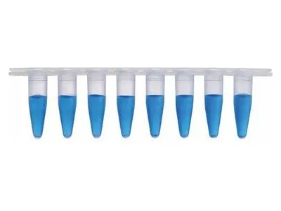 Microtubo 1,5 mL — Kasvi